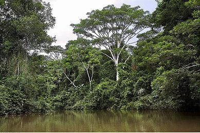 《心灵杀手2》开发者：XSS GPU和内存是个问题