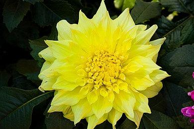 系列新作《英雄传说：黎之轨迹》新角色战斗系统 今冬发售